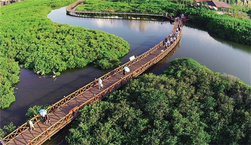 萌鸡派对韩式炸鸡