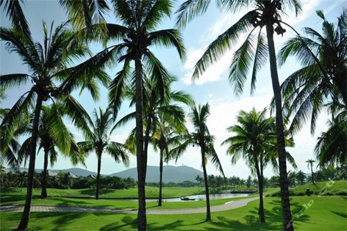 桶天香荷叶木桶饭