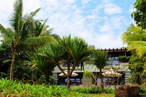 源香浓金陵地锅鸡