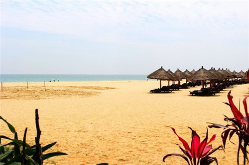 鱼头大大鱼头泡饭