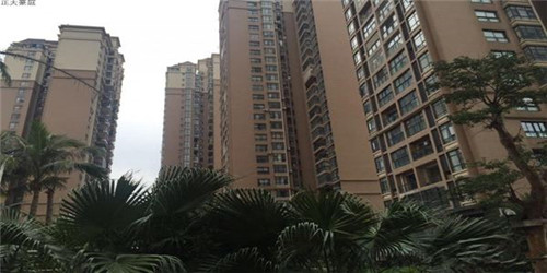 蚝油素茭瓜怎么炒比较好（油闷茭瓜）
